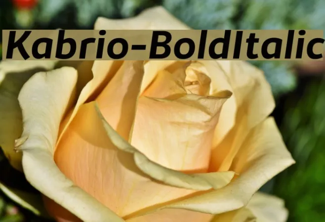 Kabrio-BoldItalic Example 2