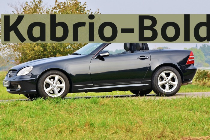 Kabrio-Bold Font examples