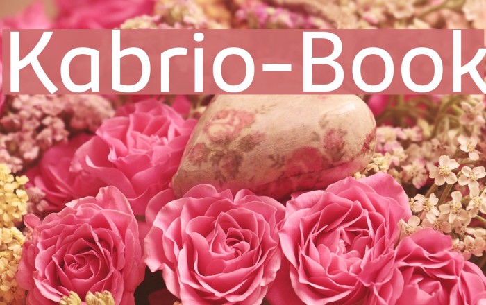 Kabrio-Book Font examples