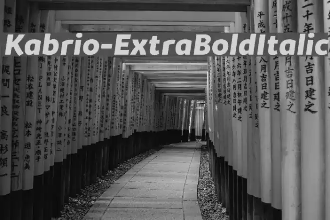 Kabrio-ExtraBoldItalic Font examples