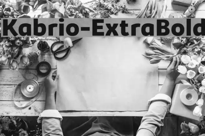 Kabrio-ExtraBold Font examples