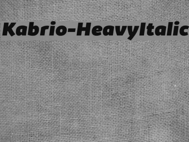 Kabrio-HeavyItalic Font examples