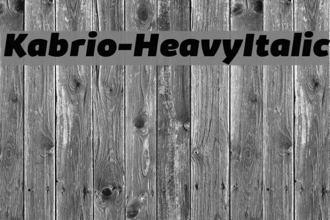 Kabrio-HeavyItalic Font examples