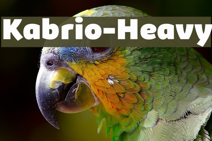 Kabrio-Heavy Font examples