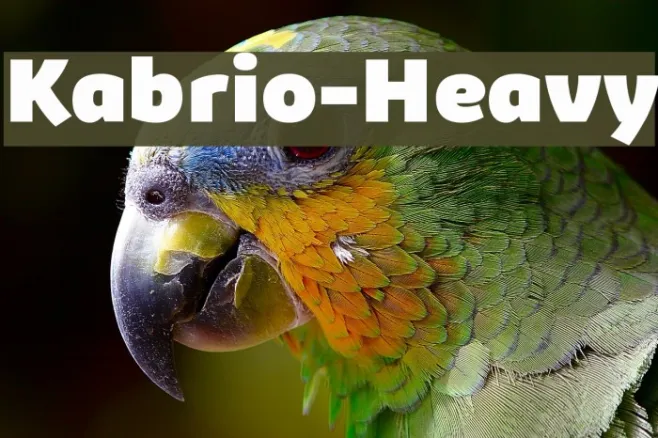 Kabrio-Heavy Example 1