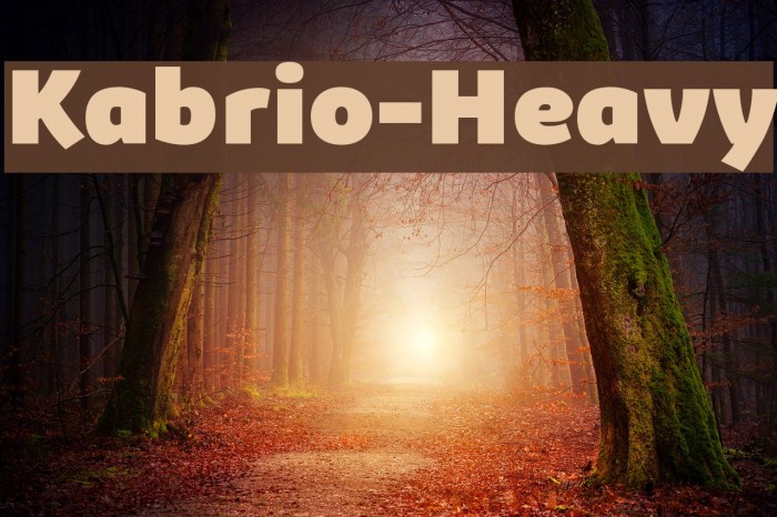 Kabrio-Heavy Font examples