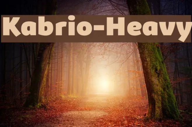 Kabrio-Heavy Example 3