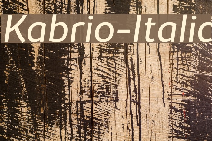 Kabrio-Italic Font examples