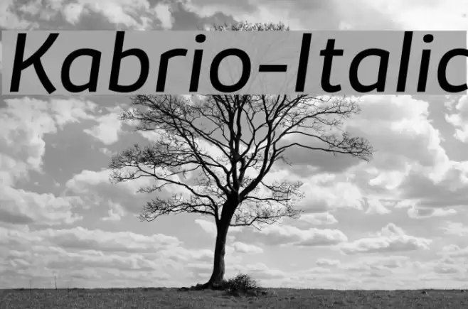 Kabrio-Italic Font examples