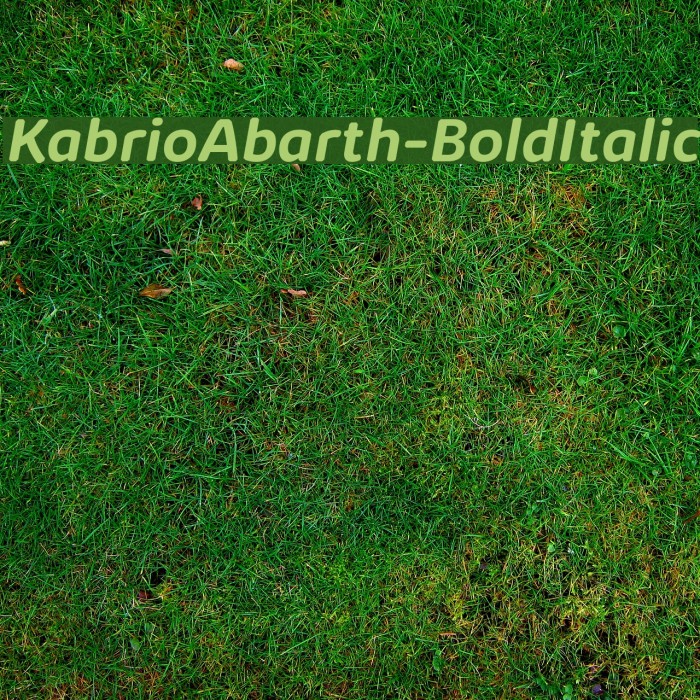 KabrioAbarth-BoldItalic Font examples