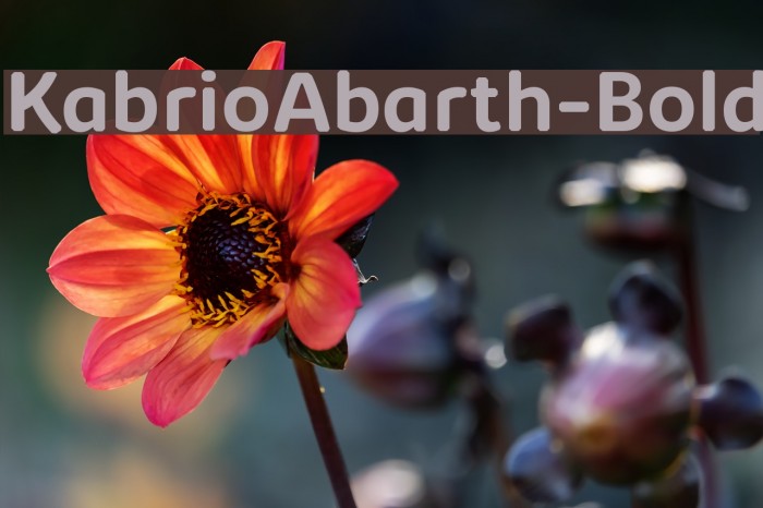 KabrioAbarth-Bold Example 3