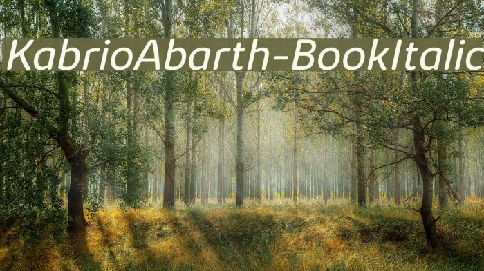 KabrioAbarth-BookItalic Font examples