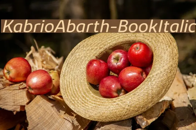 KabrioAbarth-BookItalic Example 2