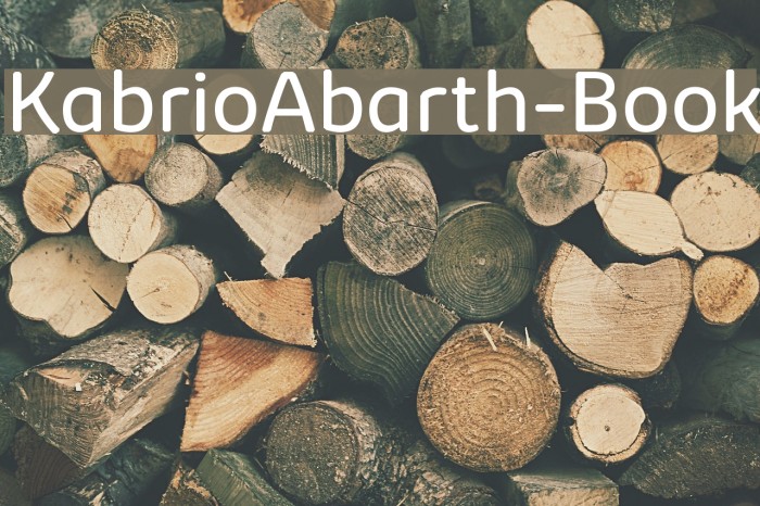 KabrioAbarth-Book Font examples