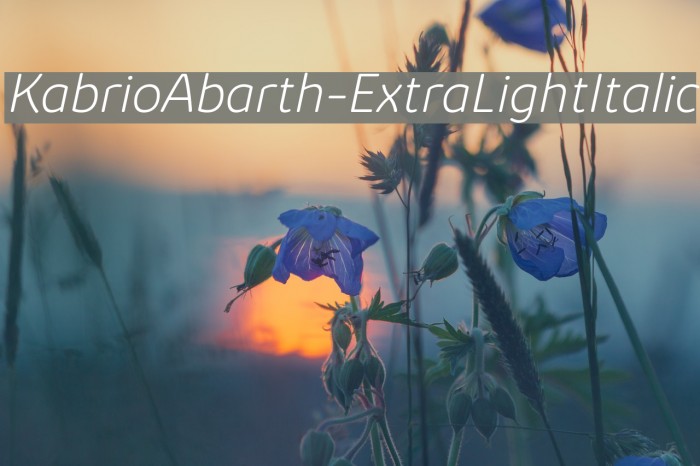 KabrioAbarth-ExtraLightItalic Font examples