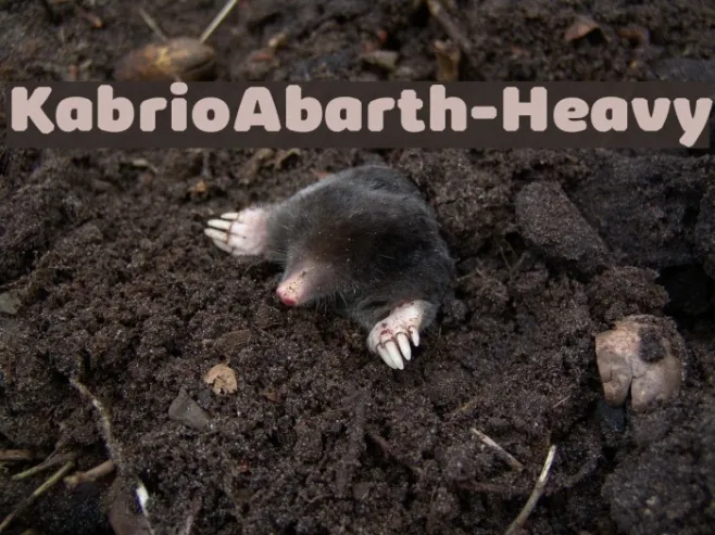 KabrioAbarth-Heavy Example 2