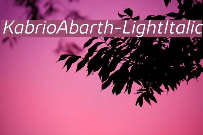 KabrioAbarth-LightItalic Example 2
