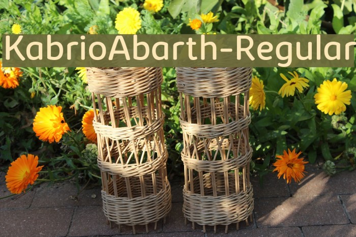 KabrioAbarth-Regular Example 1