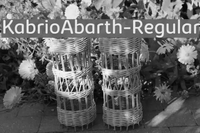 KabrioAbarth-Regular Font examples