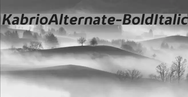 KabrioAlternate-BoldItalic Font examples
