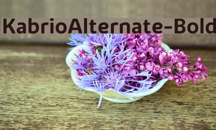KabrioAlternate-Bold Example 2