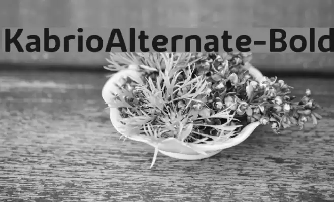 KabrioAlternate-Bold Font examples