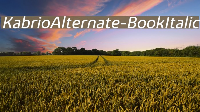 KabrioAlternate-BookItalic Font examples