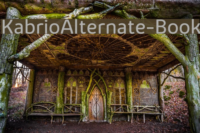 KabrioAlternate-Book Example 1