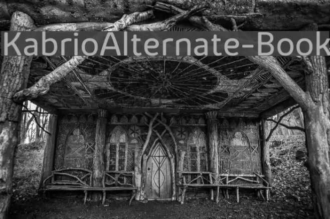KabrioAlternate-Book Font examples