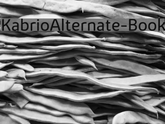 KabrioAlternate-Book Font examples