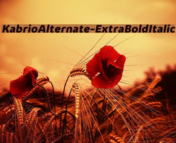 KabrioAlternate-ExtraBoldItalic Font examples