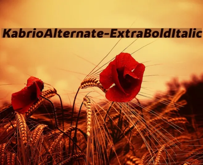 KabrioAlternate-ExtraBoldItalic Example 2
