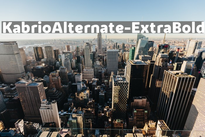 KabrioAlternate-ExtraBold Font examples
