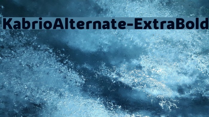 KabrioAlternate-ExtraBold Font examples