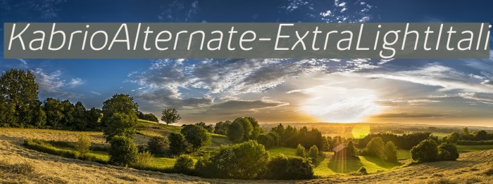 KabrioAlternate-ExtraLightItali Font examples
