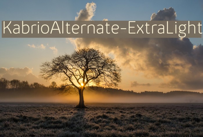 KabrioAlternate-ExtraLight Font examples