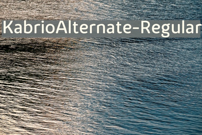 KabrioAlternate-Regular Font examples
