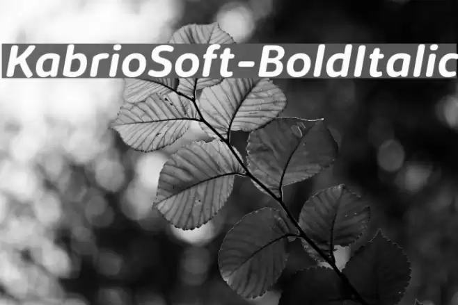 KabrioSoft-BoldItalic Font examples