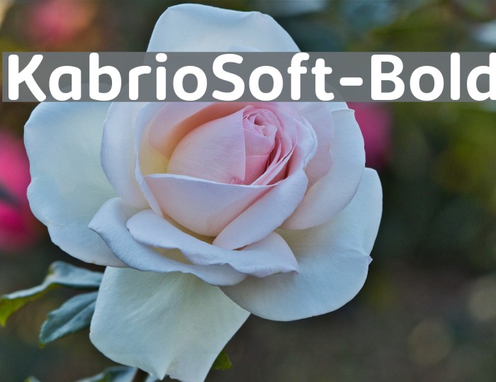 KabrioSoft-Bold Example 3
