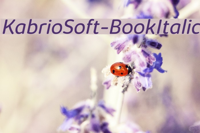 KabrioSoft-BookItalic Font examples
