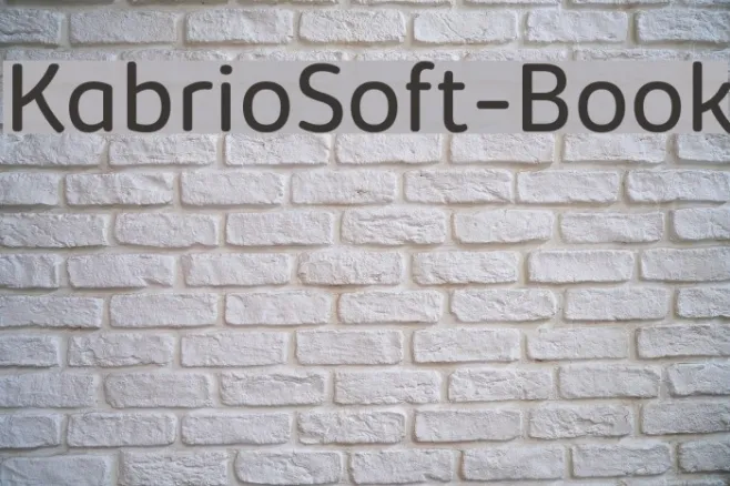KabrioSoft-Book Example 1