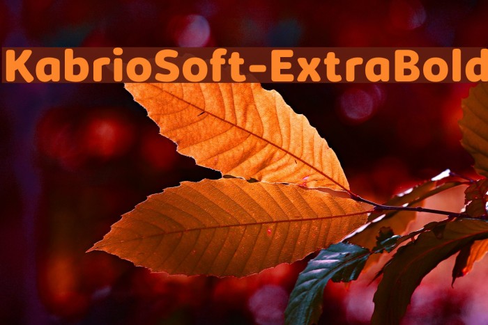 KabrioSoft-ExtraBold Font examples