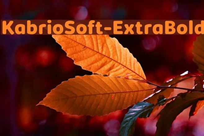 KabrioSoft-ExtraBold Example 1