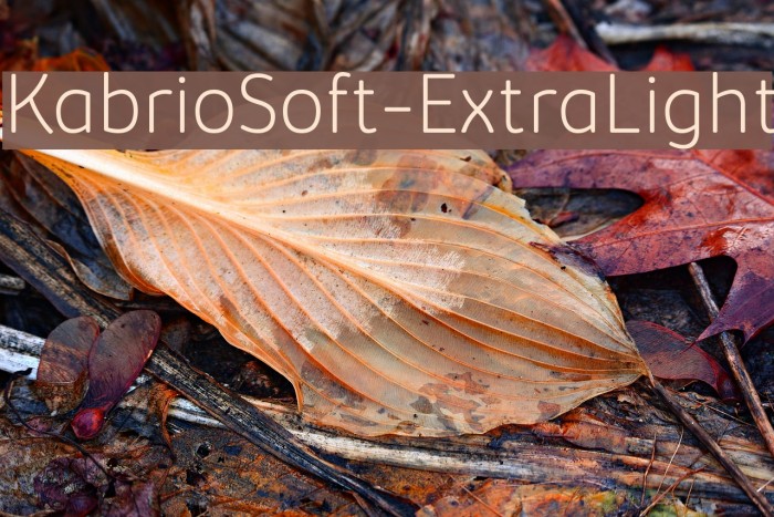 KabrioSoft-ExtraLight Example 2