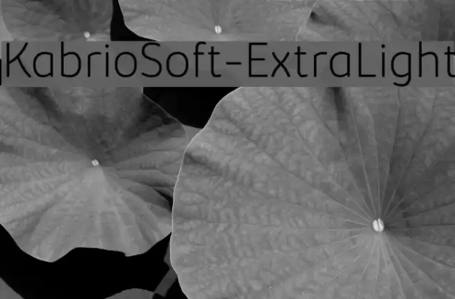 KabrioSoft-ExtraLight Font examples