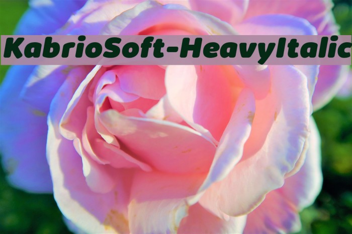 KabrioSoft-HeavyItalic Font examples