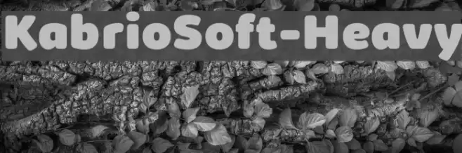 KabrioSoft-Heavy Font examples