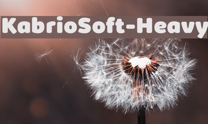 KabrioSoft-Heavy Example 2