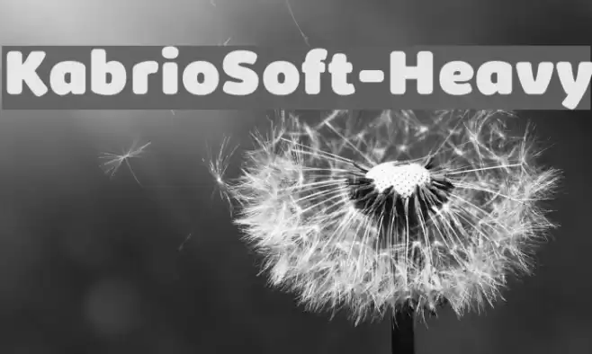 KabrioSoft-Heavy Font examples