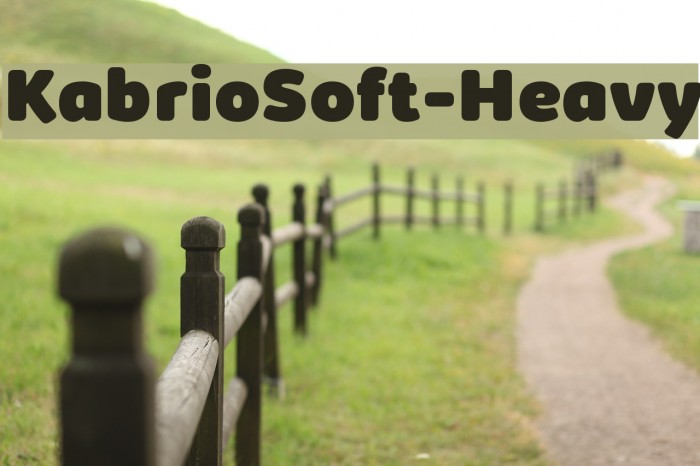 KabrioSoft-Heavy Example 3